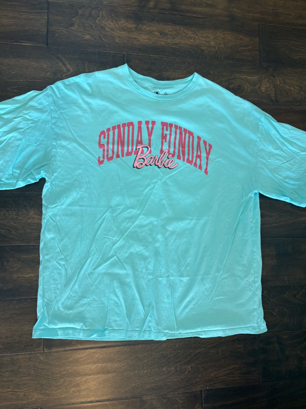 Barbie Turquoise Tee with Pink "Sunday Funday" Graphic size large